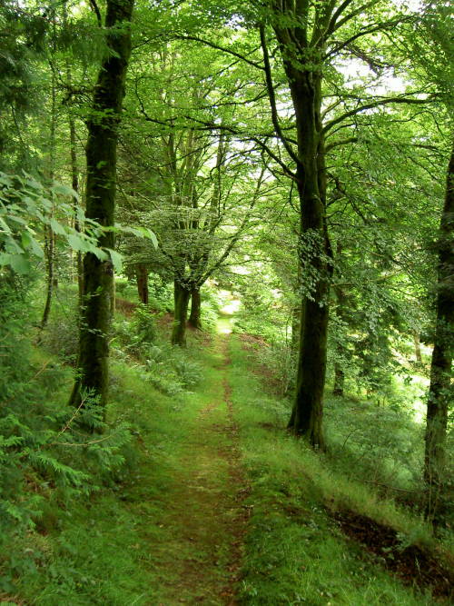 sandoz100:At Dumfries and Galloway, Scotland