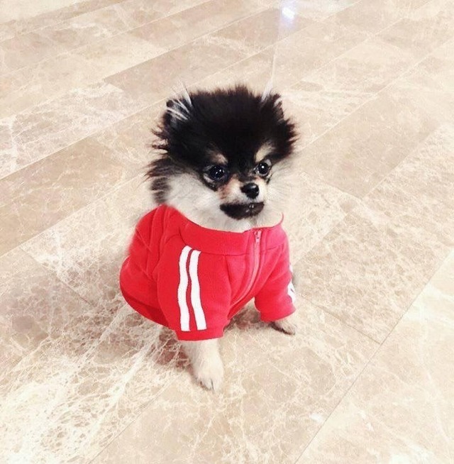 AestheticMochi — loverj00n: Kim yeontan 💯