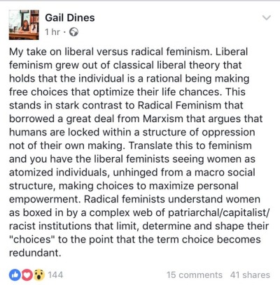 radical feminism vs liberal feminism