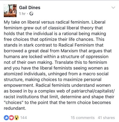 feminism radical liberal vs