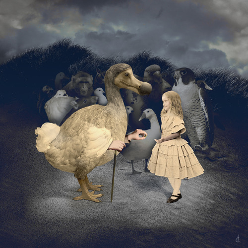 hugues-charlier:
â€œ â€œAlice and the Dodoâ€
http://assets.atlasobscura.com/article_images/5131/image
â€