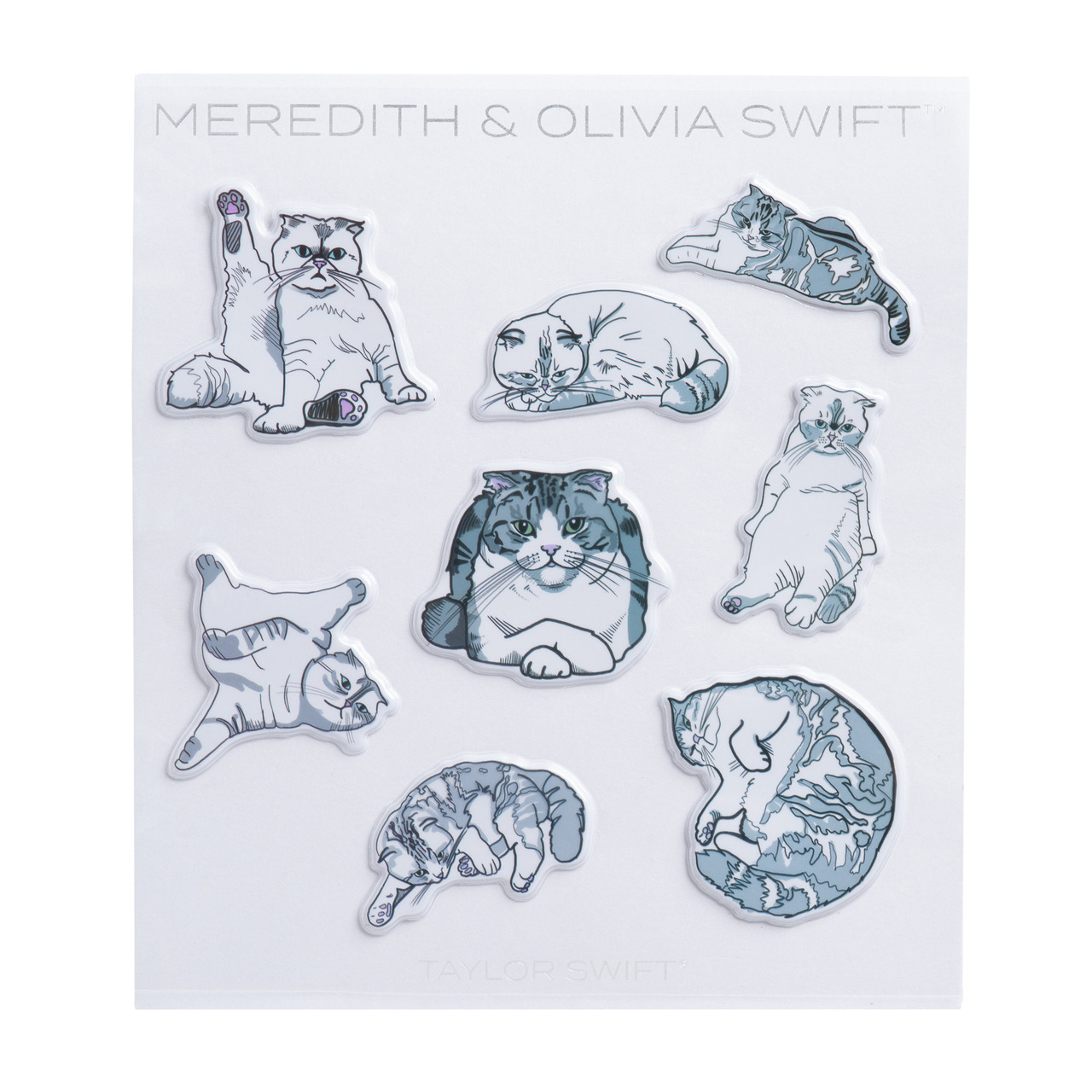 Taylor Swift Pins (Meredith & Olivia)