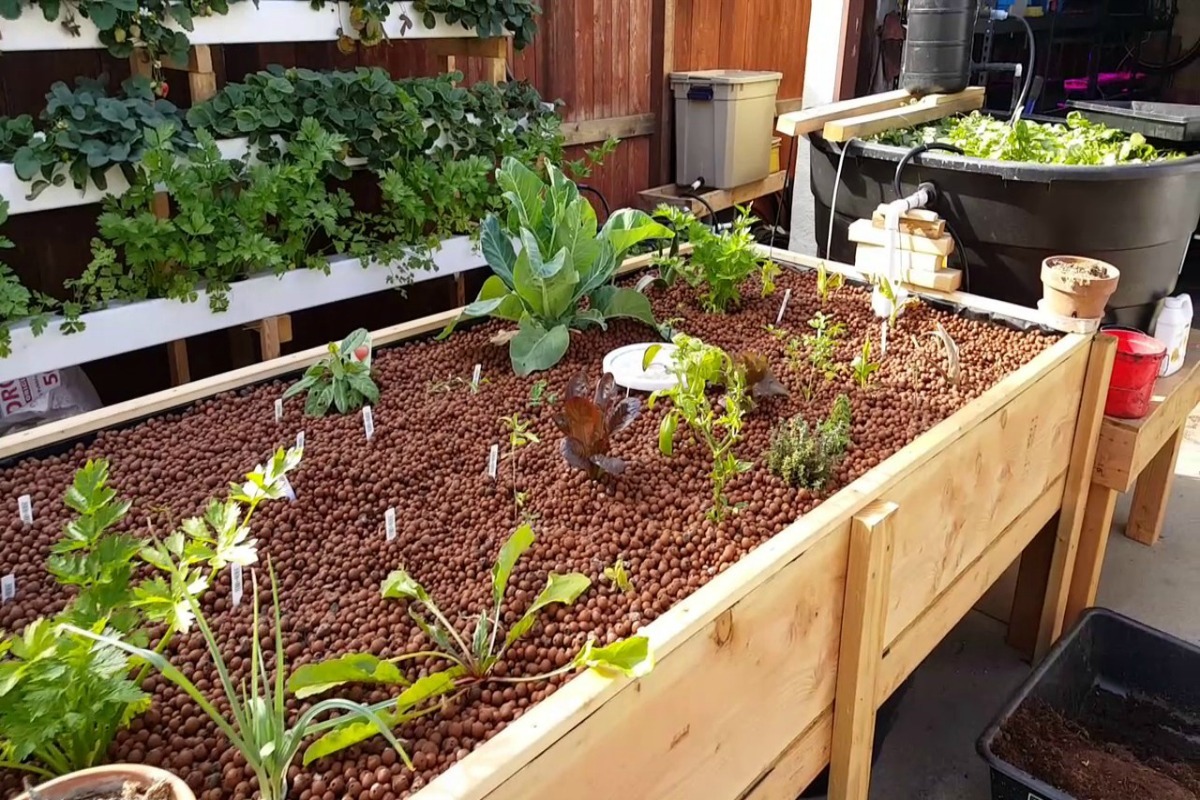 3 TYPES OF AQUAPONIC SYSTEMS - DIY Gardening &amp; Better Living