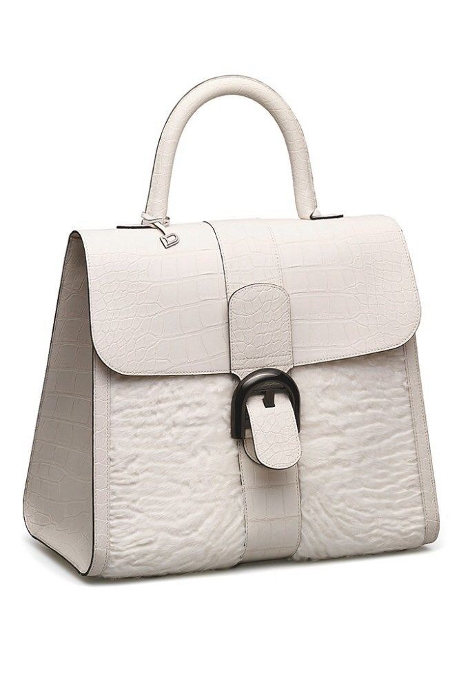 Beauty and Fashion - Delvaux Bag