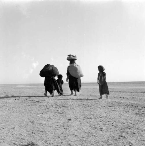 tanyushenka:Women carrying heavy loads across desert Iraq,...