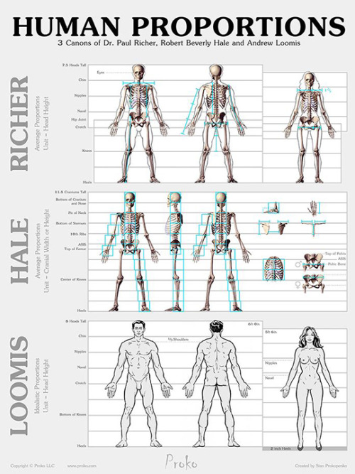 loomis anatomy book