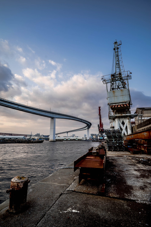 大阪 大正 sony α7s