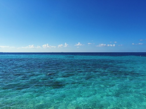 teasmoked:shades of transparent blue. maldives, summer 2015.