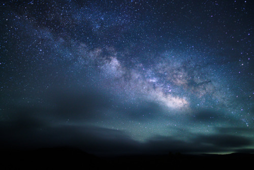 90377:may night sky and lily garden by yosuke