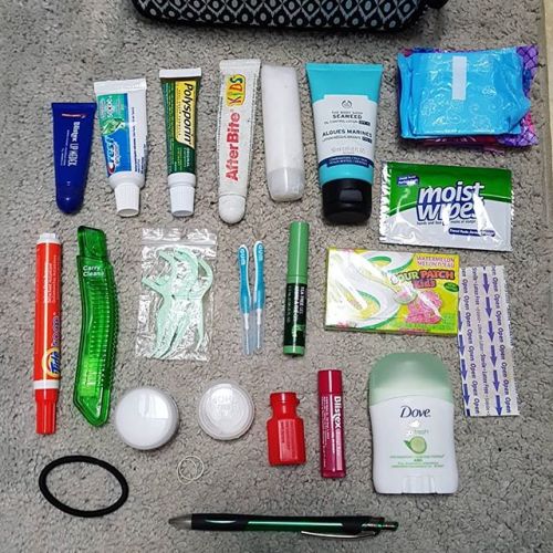 Go bag* assembled! (almost) *Allergy supplies and meds etc in a...