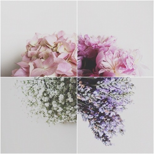 pastel flowers flower pink rosey girly pale light pretty nature vintage indie