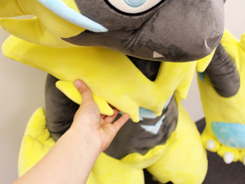 life size zeraora