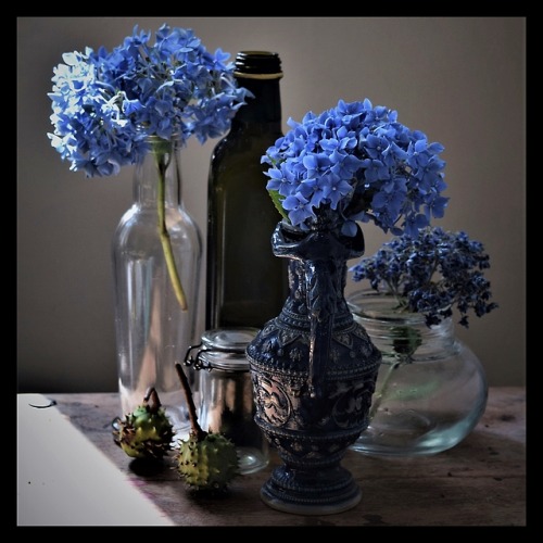 stonelantern:Still life (blue hydrangeas ) by stonelantern