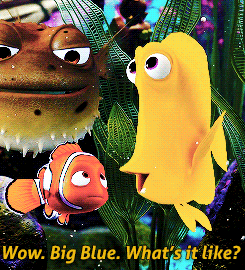 Finding Nemo Bubbles Gif.