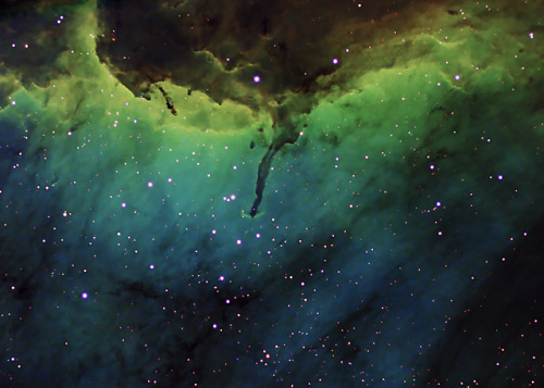 alihikaua: Nebula in Cygnus