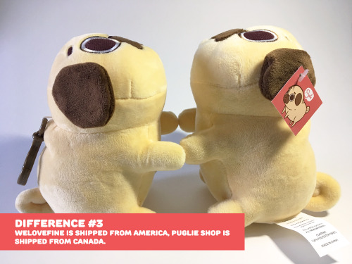 puglie plush