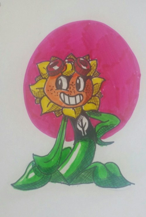 Pvz Solar Flare Tumblr 14740 Hot Sex Picture