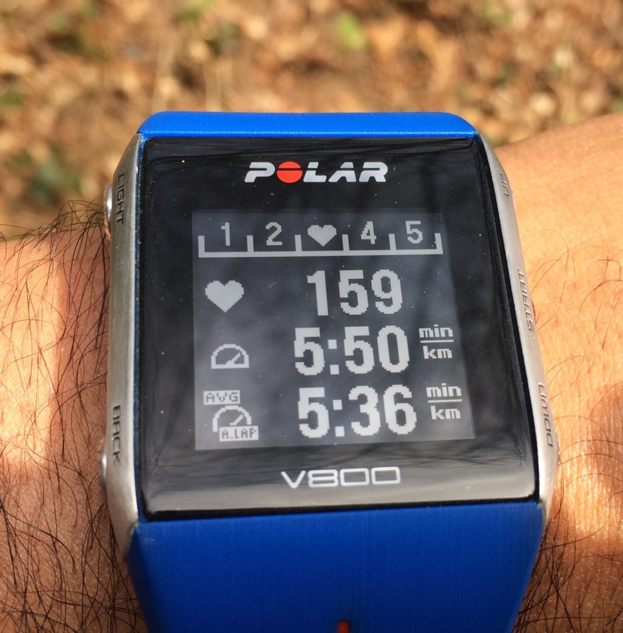 polar 800 v