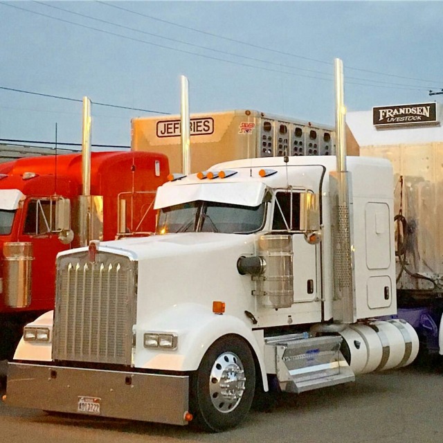 Semitrckn — Kenworth custom W900L bull hauler