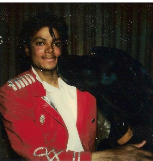 @Michael Jackson Fan Page