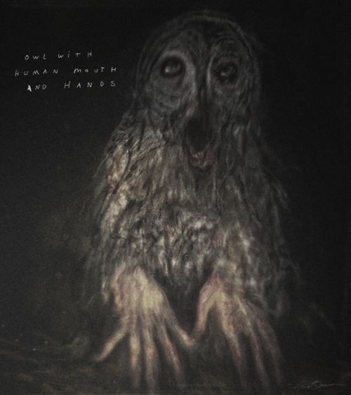 cinemamind:The owls are not what they seem.