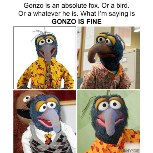 Gonzo is like if Jeff Goldblum was a muppet