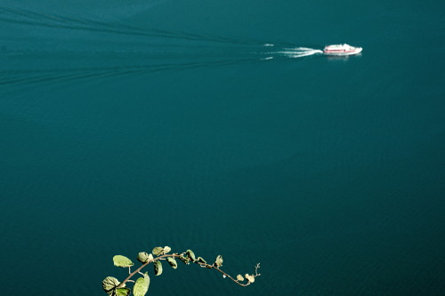 radiovibram:[ Ph: focus, Lago d’Iseo (Italy), Settembre 2015 ]