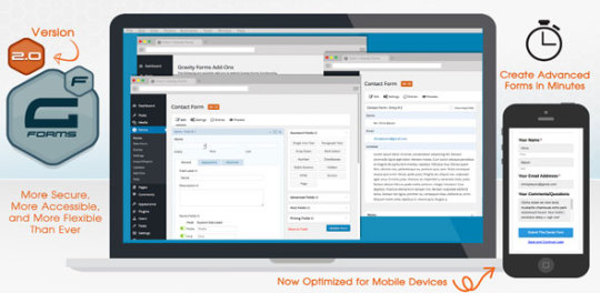 Gravity Forms v2.4.17.14 Nulled