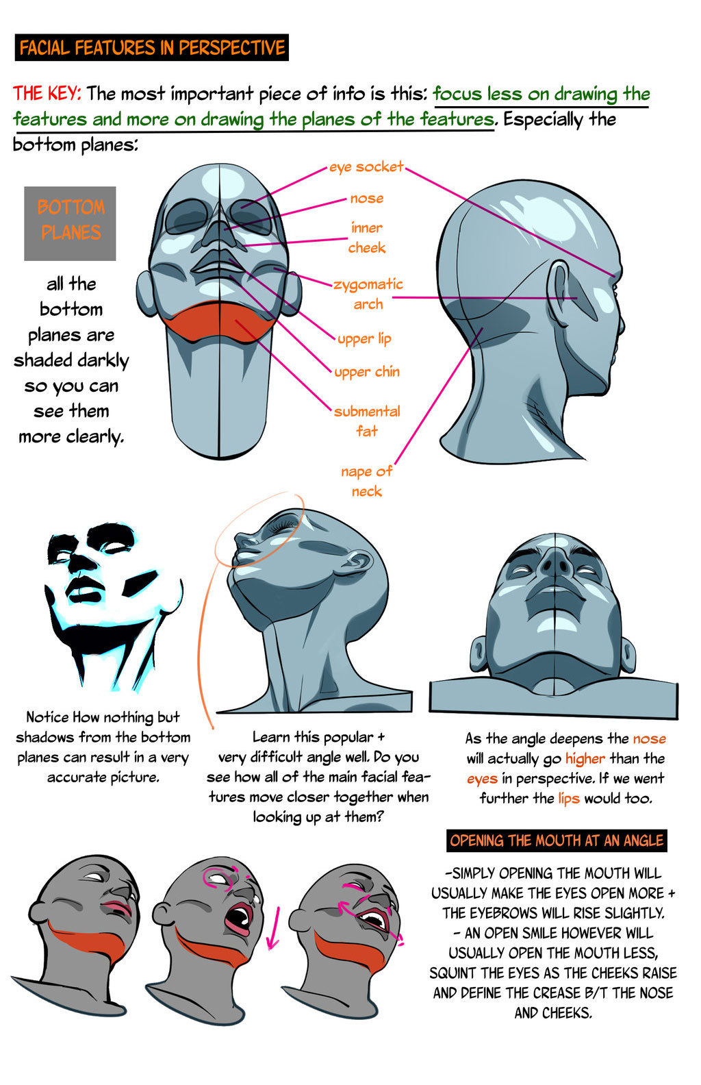 drawing the body in perspective