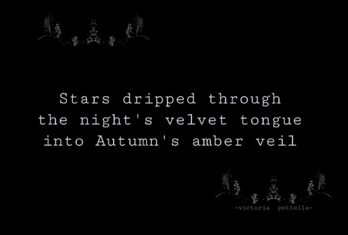 Stars in Autumn~victoria pettella