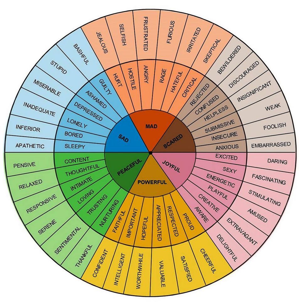 Emotion Wheel Chart