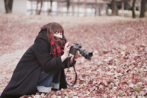 **残っている秋色を探しながら短いこのひとときがほっとできたよ