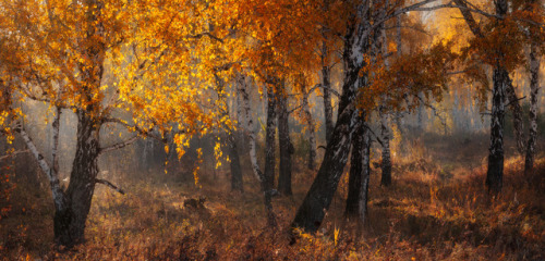 wishfullyautumn:silvaris:Breath by Marat Akhmetvaleev