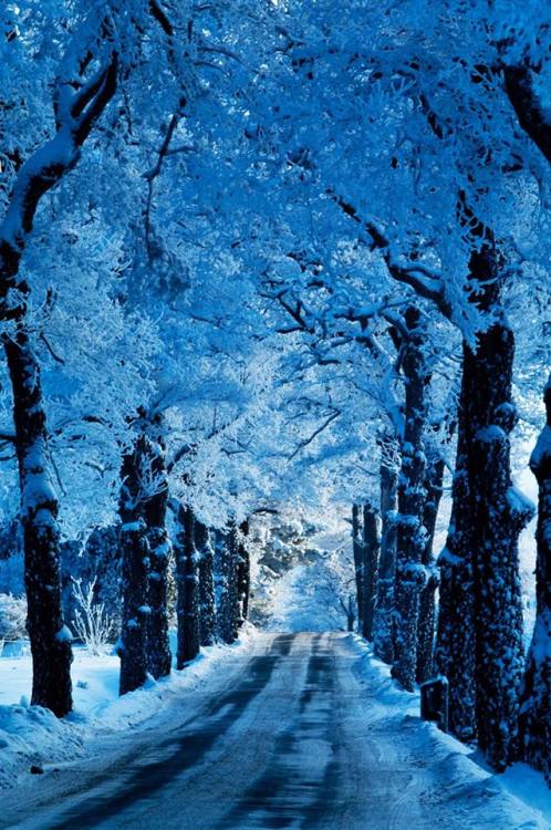 rosiesdreams:Frosty, chilly blues