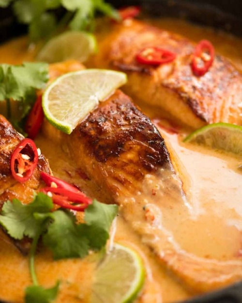 daily-deliciousness:Poached salmon in coconut lime sauce