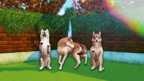 willowsims18
