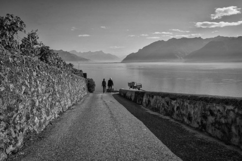 jose-fangueiro-blog:#lavaux #switzerland #unesco #noiretblanc...