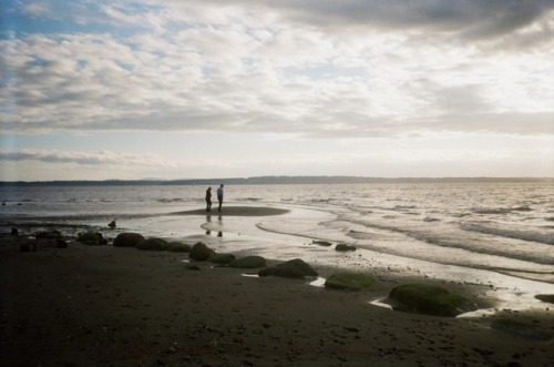 dog 35mm film beach puget sound seattle golden gardens ballard ocean