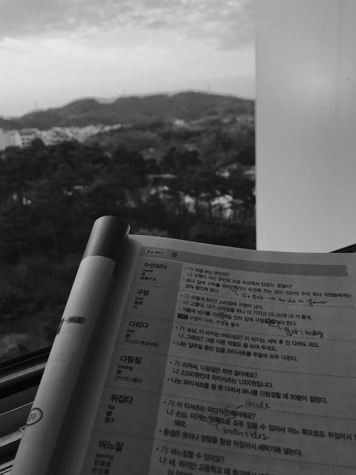 studythenight-away