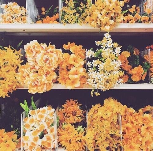 hufflepuff aesthetic hufflepride hufflepuff yellow flowers yellow aesthetic yellow gold flowers gold golden aesthetic golden pastel pale flower aesthetic flower flowers aesthetic