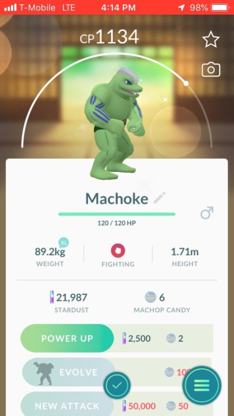 Shiny Machop Tumblr