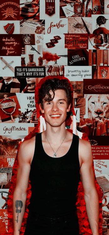 shawnmendesicons