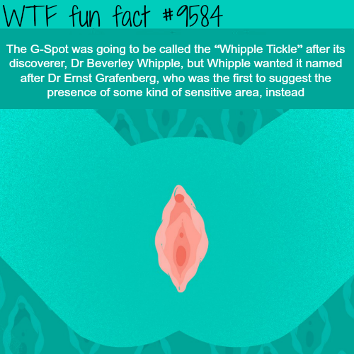 Fact Of The Day-Sunday March 3rd 2019 Tumblr_pnpww17YDL1roqv59o1_500
