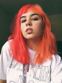 Splitdye Tumblr