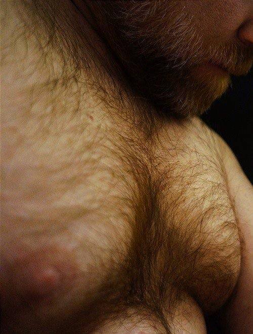 gulobear:furry fur