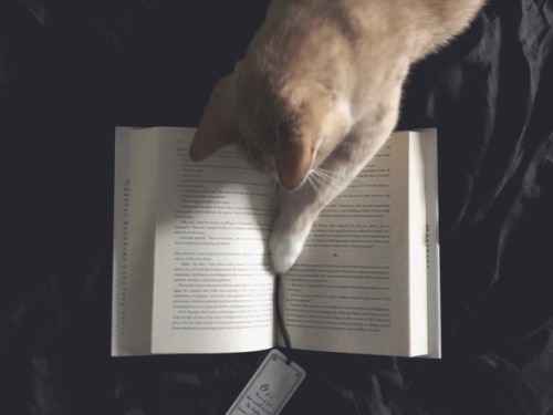 freckles-and-books:Bookmark eater