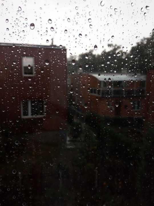 Rainia in the rain Rainia in the rain