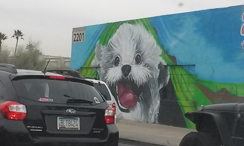 An actual goddamn mural someone paid for