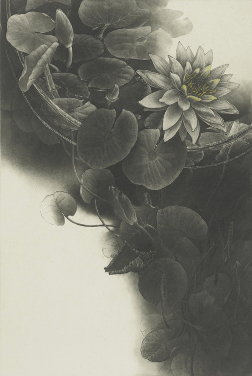 iamjapanese:TAKEDA Fumiko（武田 史子 Japanese, b.1963）copper...