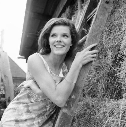 samantha eggar on Tumblr